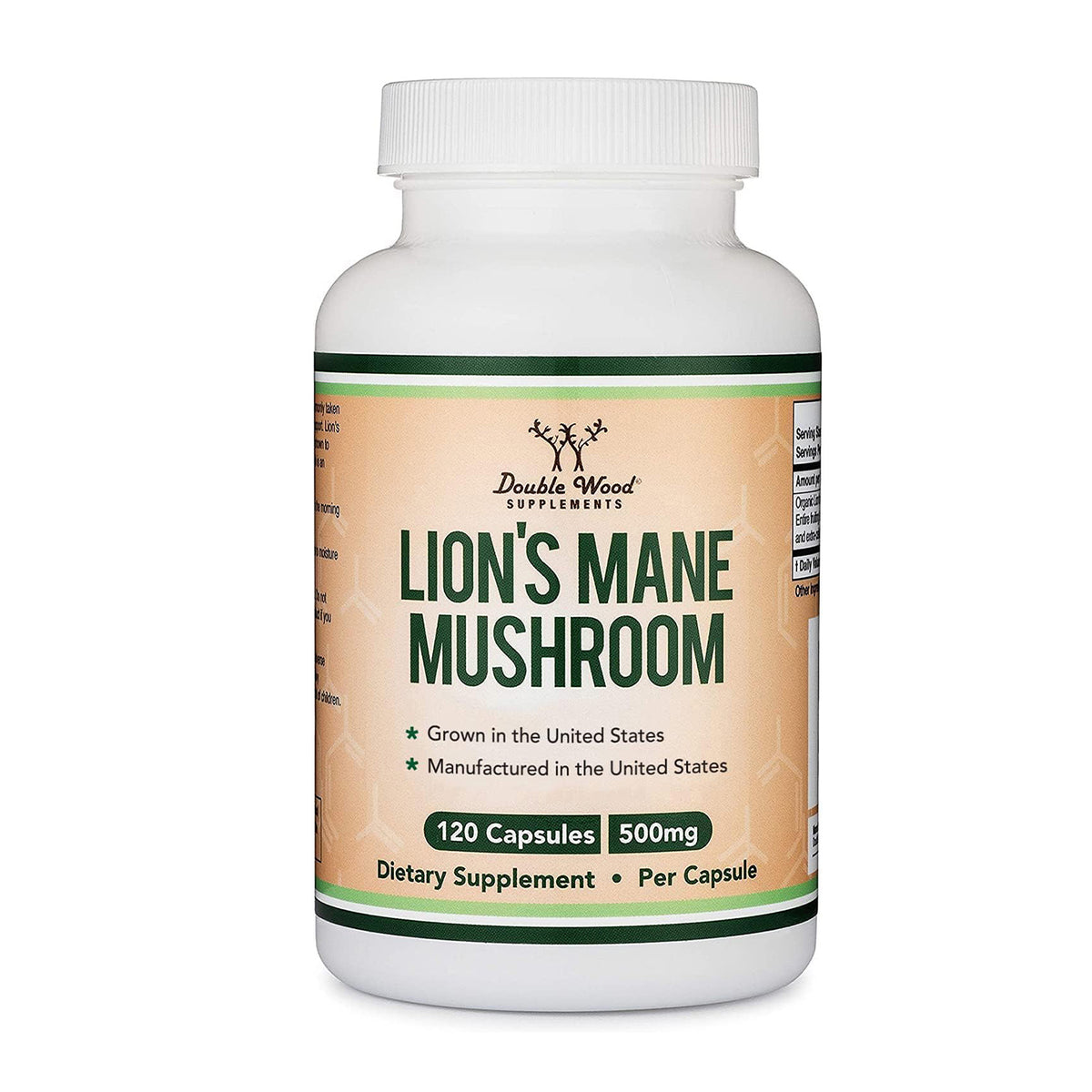 Lion's Mane Mushroom & CDP Choline Pairing