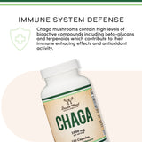 Chaga Mushroom Supplement