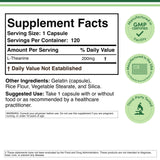 Magnesium Glycinate & L-Theanine Bundle