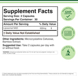Liposomal NAD Supplement