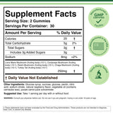 Mushroom Gummies Supplement